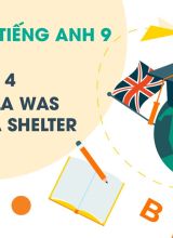 Unit 4 - The Koala Was Taken To A Shelter  -  Tiếng Anh 9  -  Hoc10